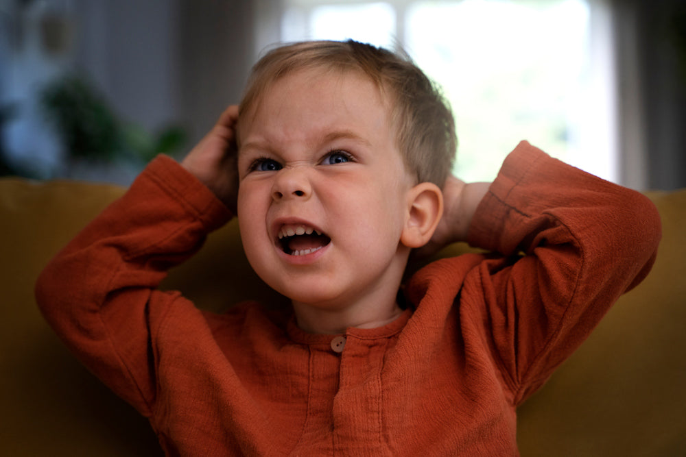 Surviving the "Terrible Twos": A Mum's Guide to Braving the Storm