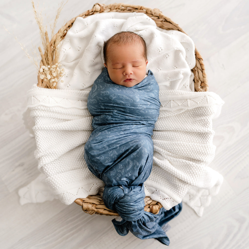 MOD AND TOD Baby Stretchy Swaddle | Rexy & Friends | Organic Cotton | modandtod.com
