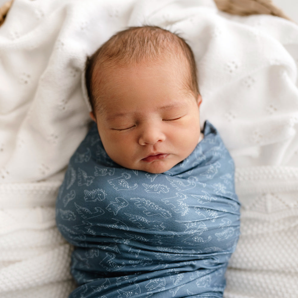 MOD AND TOD Baby Stretchy Swaddle | Rexy & Friends | Organic Cotton | modandtod.com