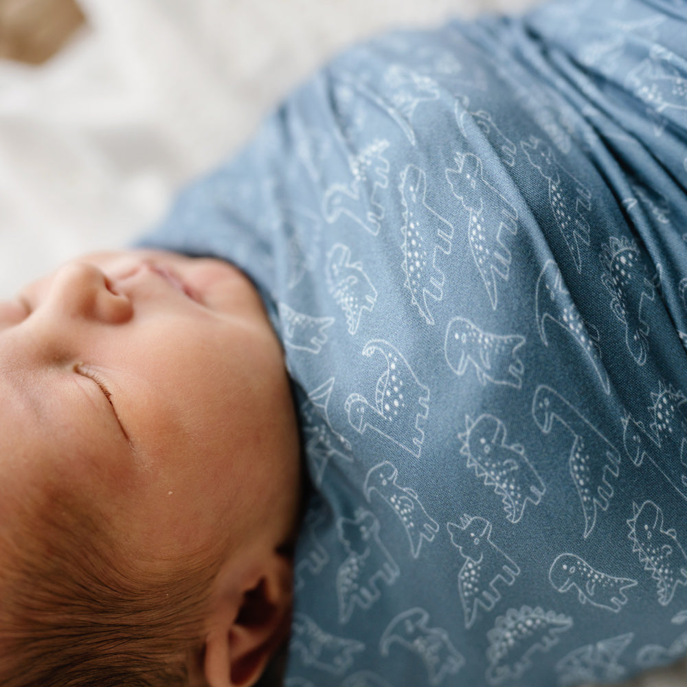 MOD AND TOD Baby Stretchy Swaddle | Rexy & Friends | Organic Cotton | modandtod.com