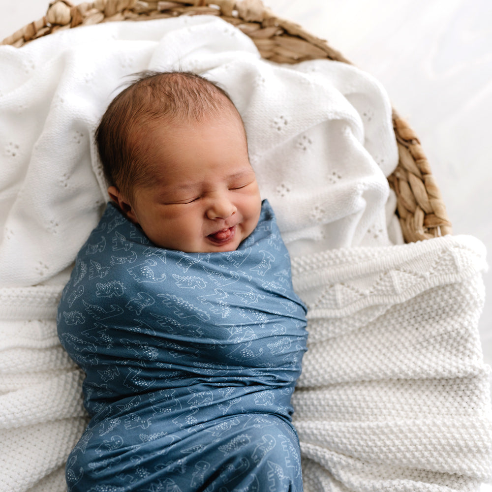 MOD AND TOD Baby Stretchy Swaddle | Rexy & Friends | Organic Cotton | modandtod.com