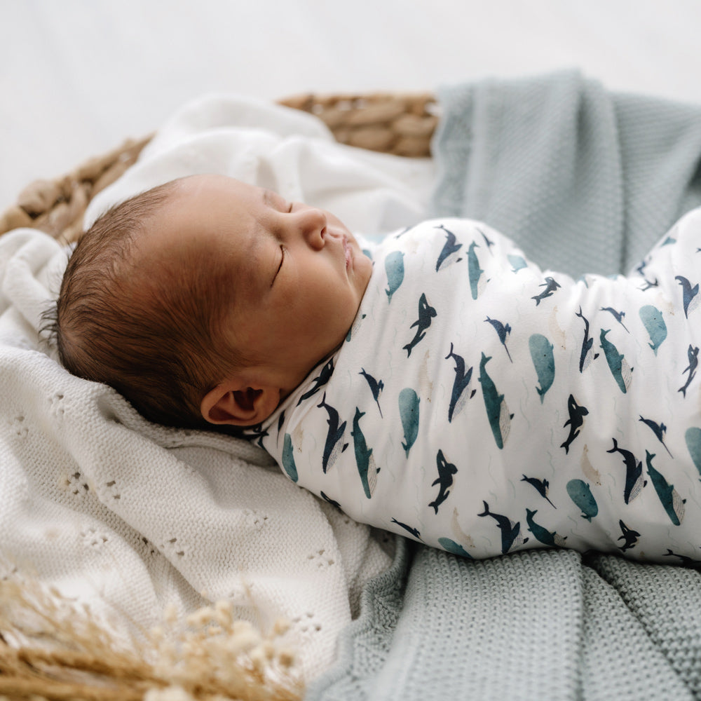 MOD AND TOD Baby Stretchy Swaddle | Whale Tales | Organic Cotton | modandtod.com