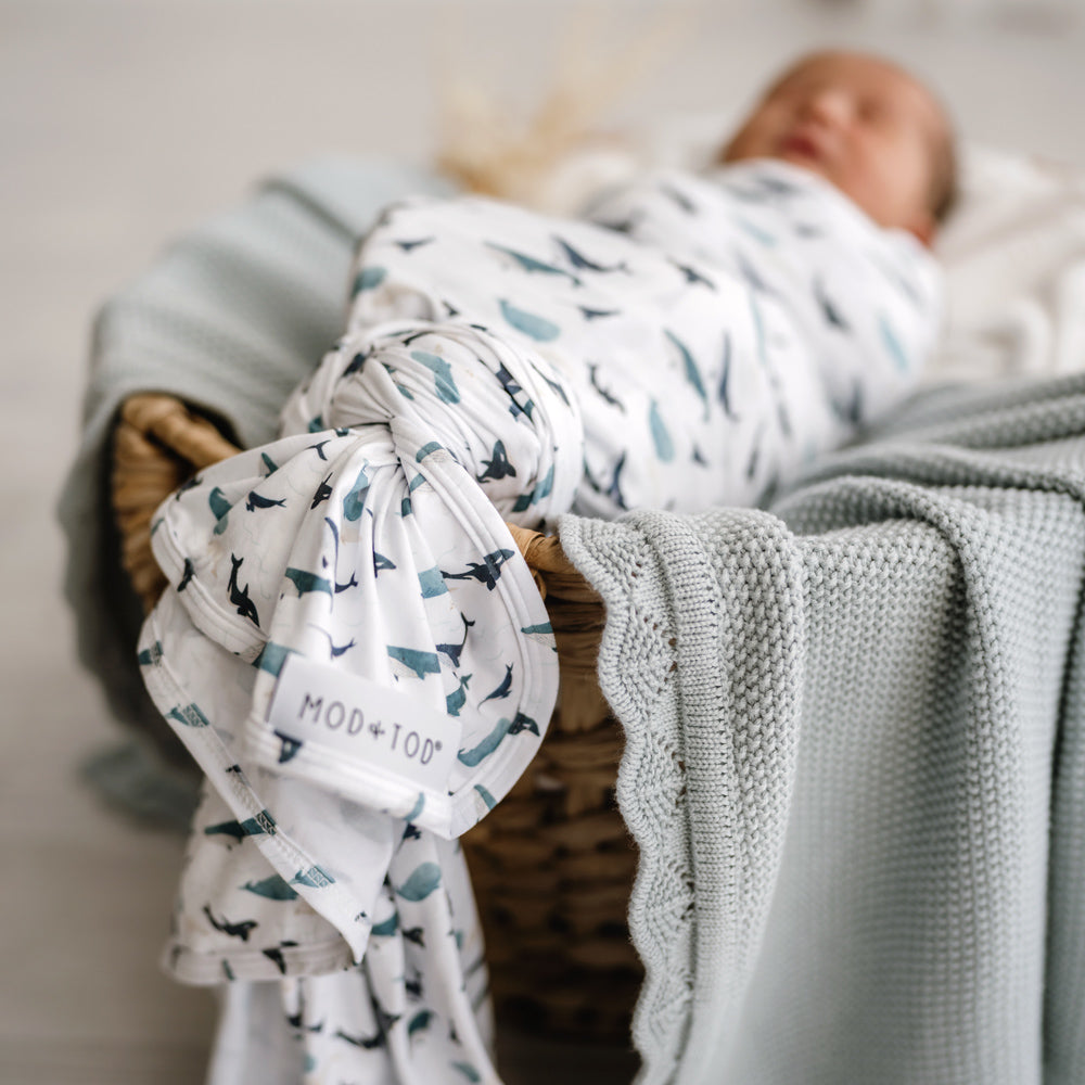 MOD AND TOD Baby Stretchy Swaddle | Whale Tales | Organic Cotton | modandtod.com