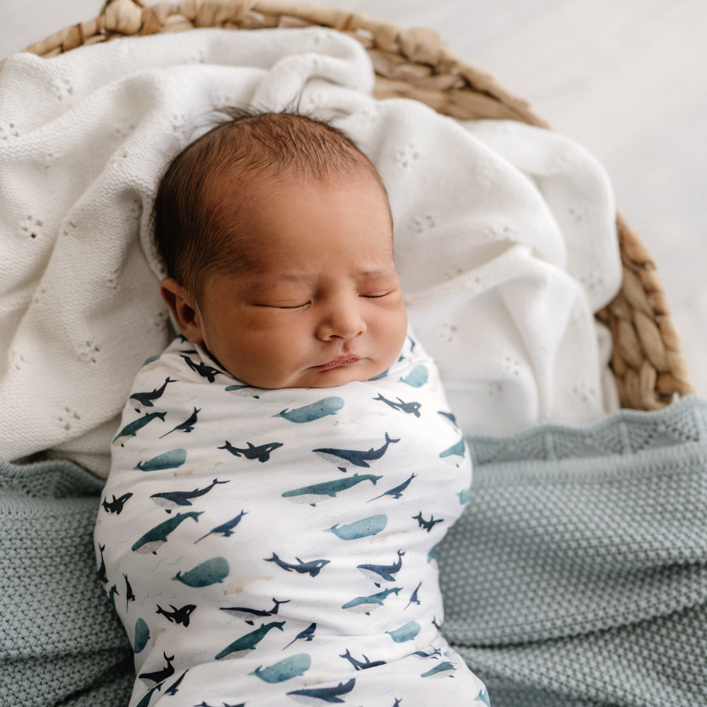 MOD AND TOD Baby Stretchy Swaddle | Whale Tales | Organic Cotton | modandtod.com