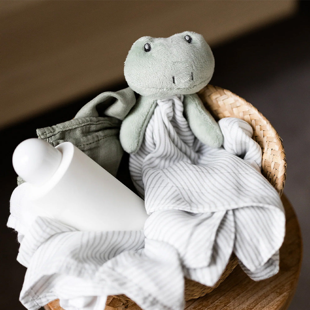 Little Bamboo Comforter | Freddie Frog for newborn and baby lovey