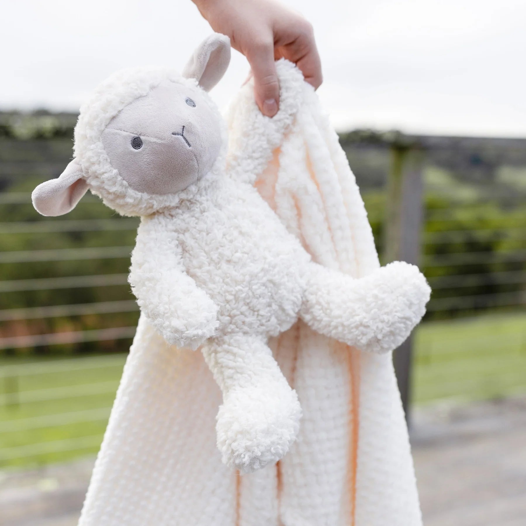 The Little Linen Conpany Soft Plush Baby Toy & Blanket - Farmyard Lamb for baby and toddler