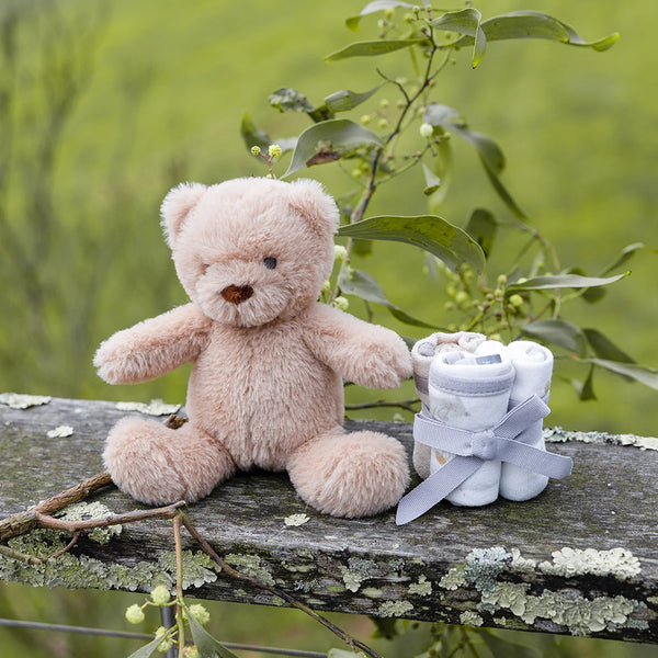Soft Plush Baby Toy & Face Washers - Nectar Bear