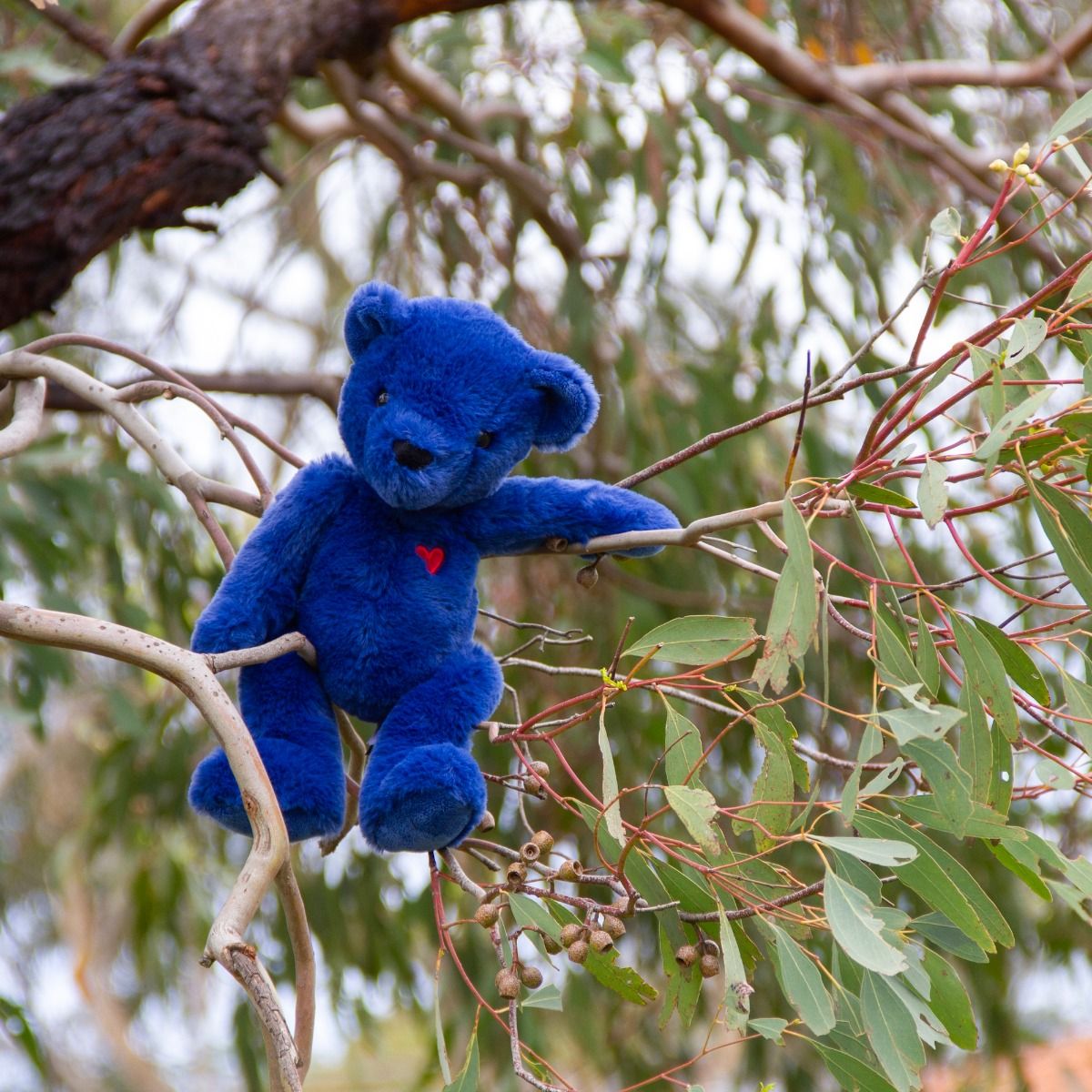Wonderlings Blue Ted Teddy Bear Plush Toy | modandtod.com