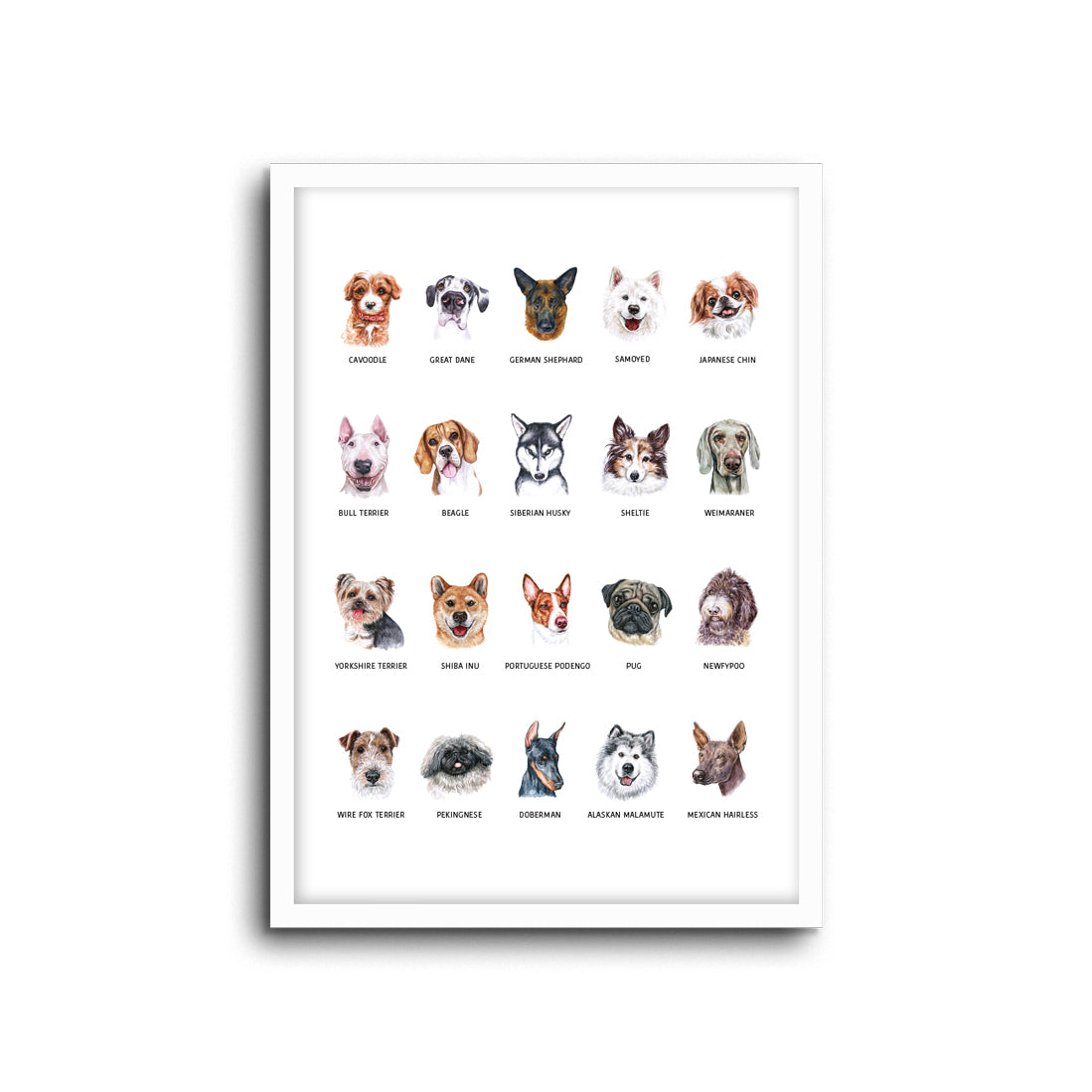 Nursery Decor Wall Art Print -Dogs - Kids bedroom baby room nursery playroom home decor and for lounge cute and educational for dog lovers