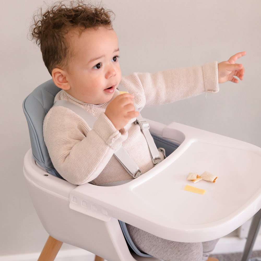 MOOSE Baby Sinclair Highchair