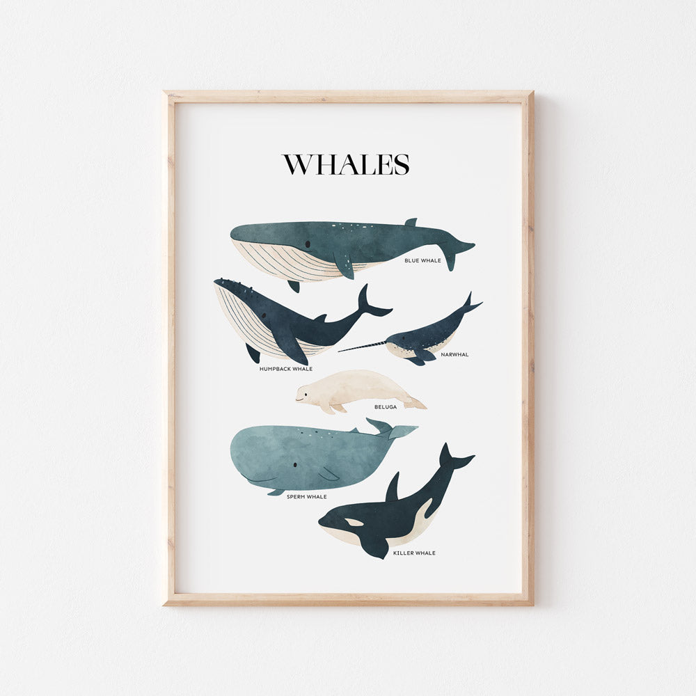 MOD AND TOD Whales Wall Print for kids, baby, nursery, home decor | modandtod.com