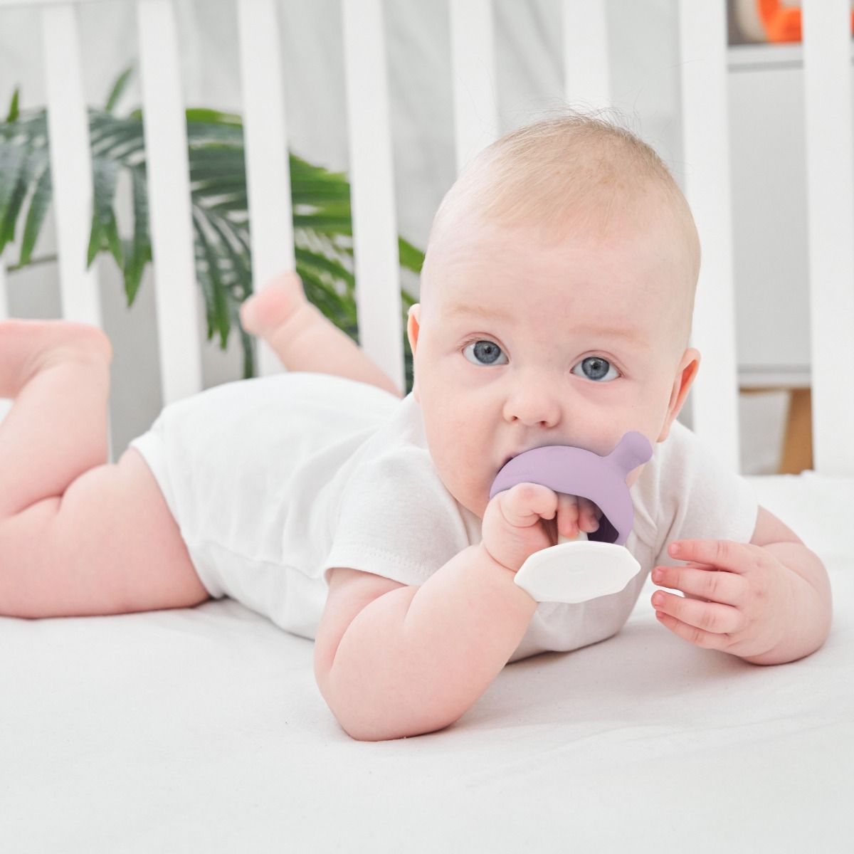 Mombella Mushroom Teether - Lavender | Baby Teething Toy | Silicone Teether | modandtod.com
