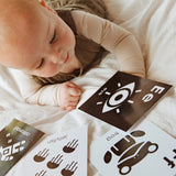 My Family Book | My Flash Cards: Alphabet | 25 Black and White Luxe Flash Cards for Baby | Available at modandtod.com