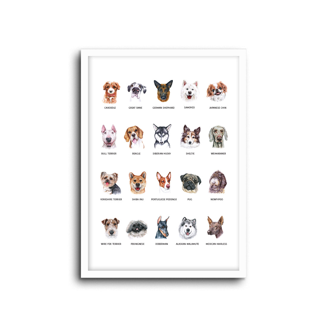 Nursery Decor Wall Art Print -Dogs - Kids bedroom baby room nursery playroom home decor and for lounge cute and educational  for dog lovers