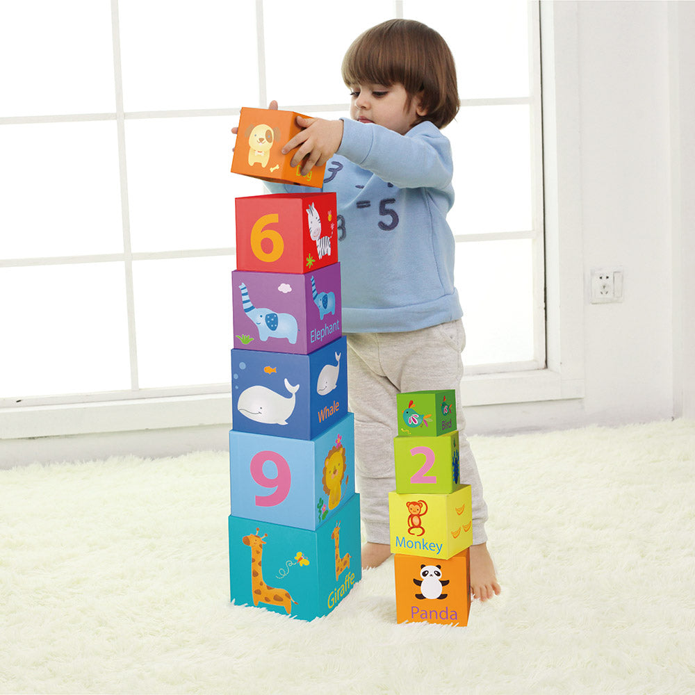 Classic World Stacking Cubes for toddler and kids